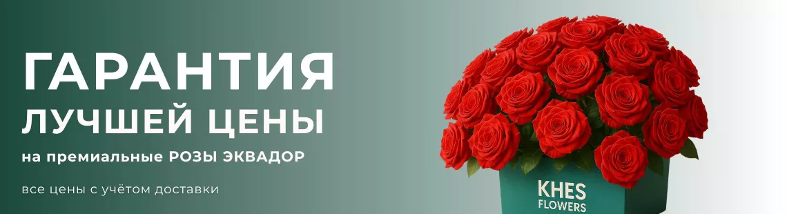 Розы Эквадор