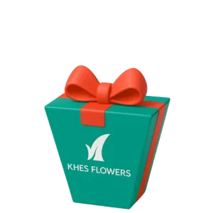 Фирменная<br />
коробка KHES