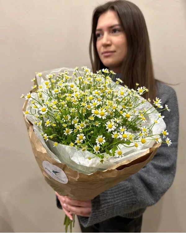 Букет 9 ромашек